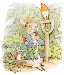 peter rabbit pic