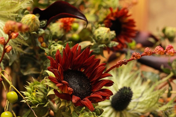 All Hallows Flowers- Brown Sunflowers zoomed in