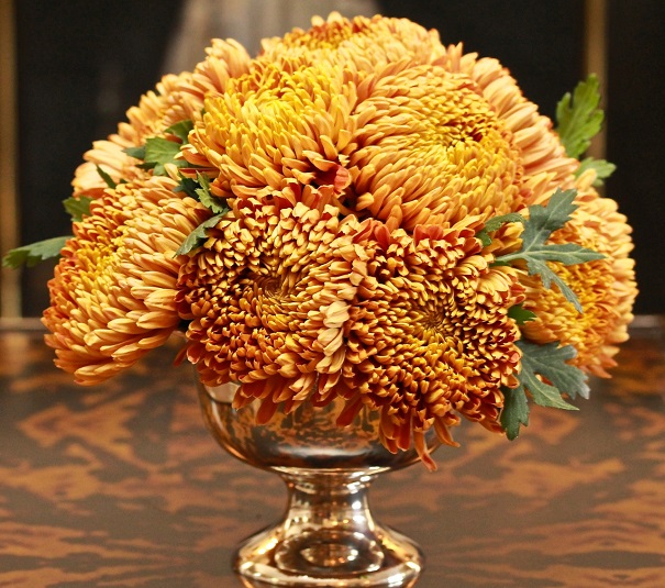 Chrysanthemums 