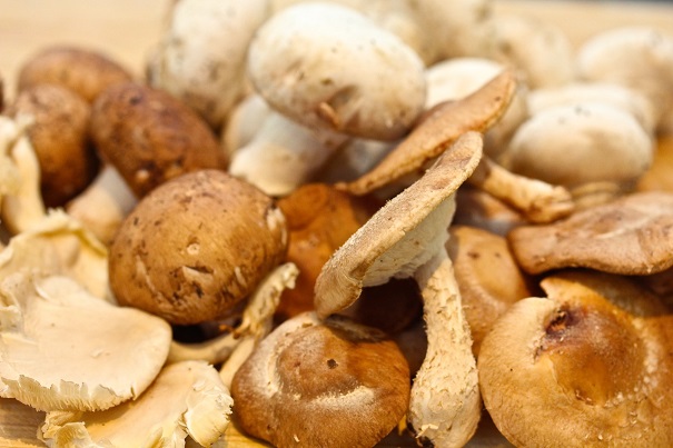 Laura Bush's Beef Tenderloin -Mushrooms