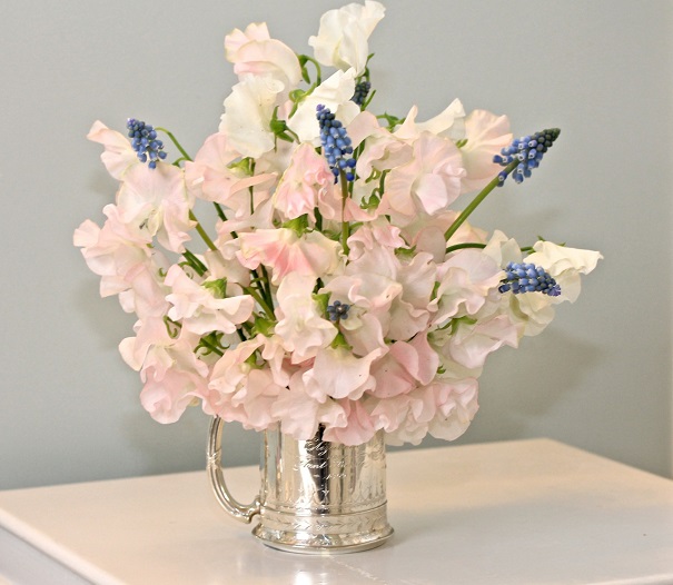 valentine's day flowers Lathryus First Lady and Muscari