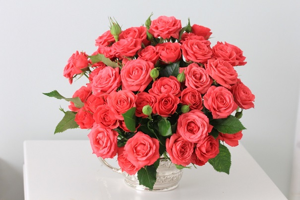valentine's day flowers - Sweet Paradise Spray Roses
