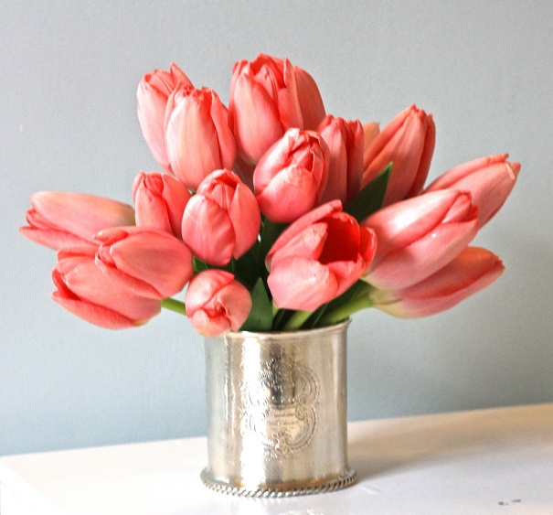 valentine's day flowers - Tulips Pink Van Dyck