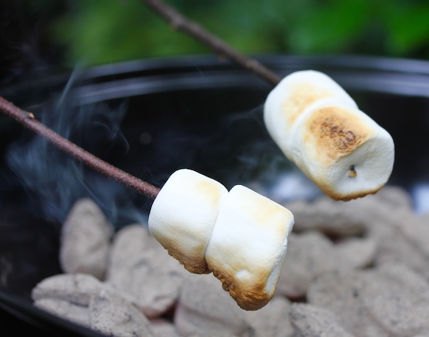 Everyone loves s’mores, and there are as many versions of this beloved American outdoor classic as the dessert-minded can imagine.