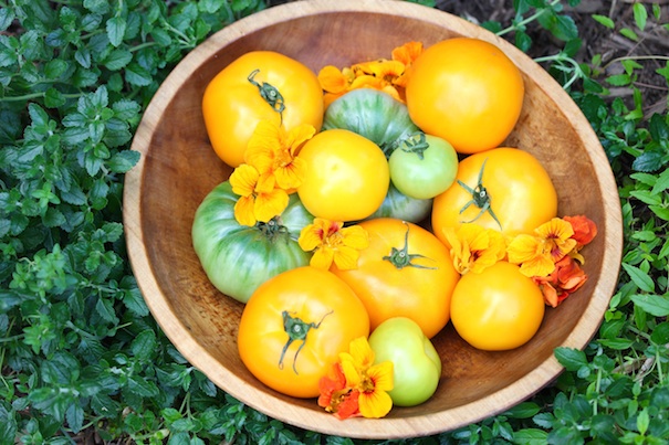 They had beautiful golden yellow tomatoes at the farmer’s market yesterday and I went a little crazy. 