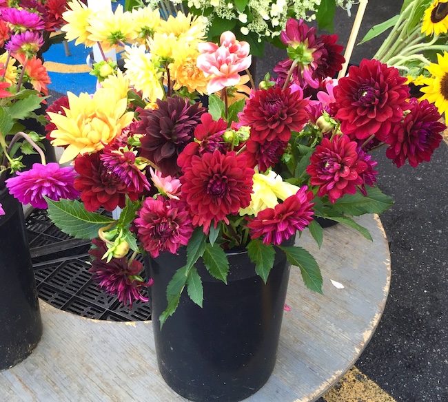 A Guide to Farmer's Market Flowers