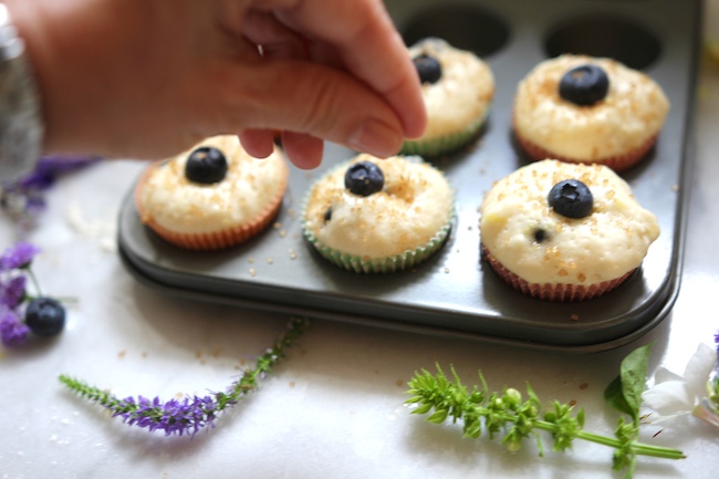 Blueberry Muffins From Jeremy Bernard