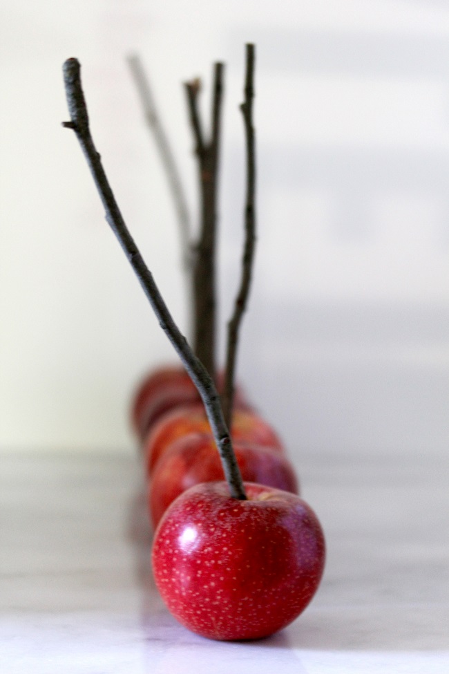 8 tart apples  (I like Granny Smith, but Honeycrisps are also good) and 8 sticks – can be popsicle sticks or sticks from branches in your yard or a park (well-cleaned)