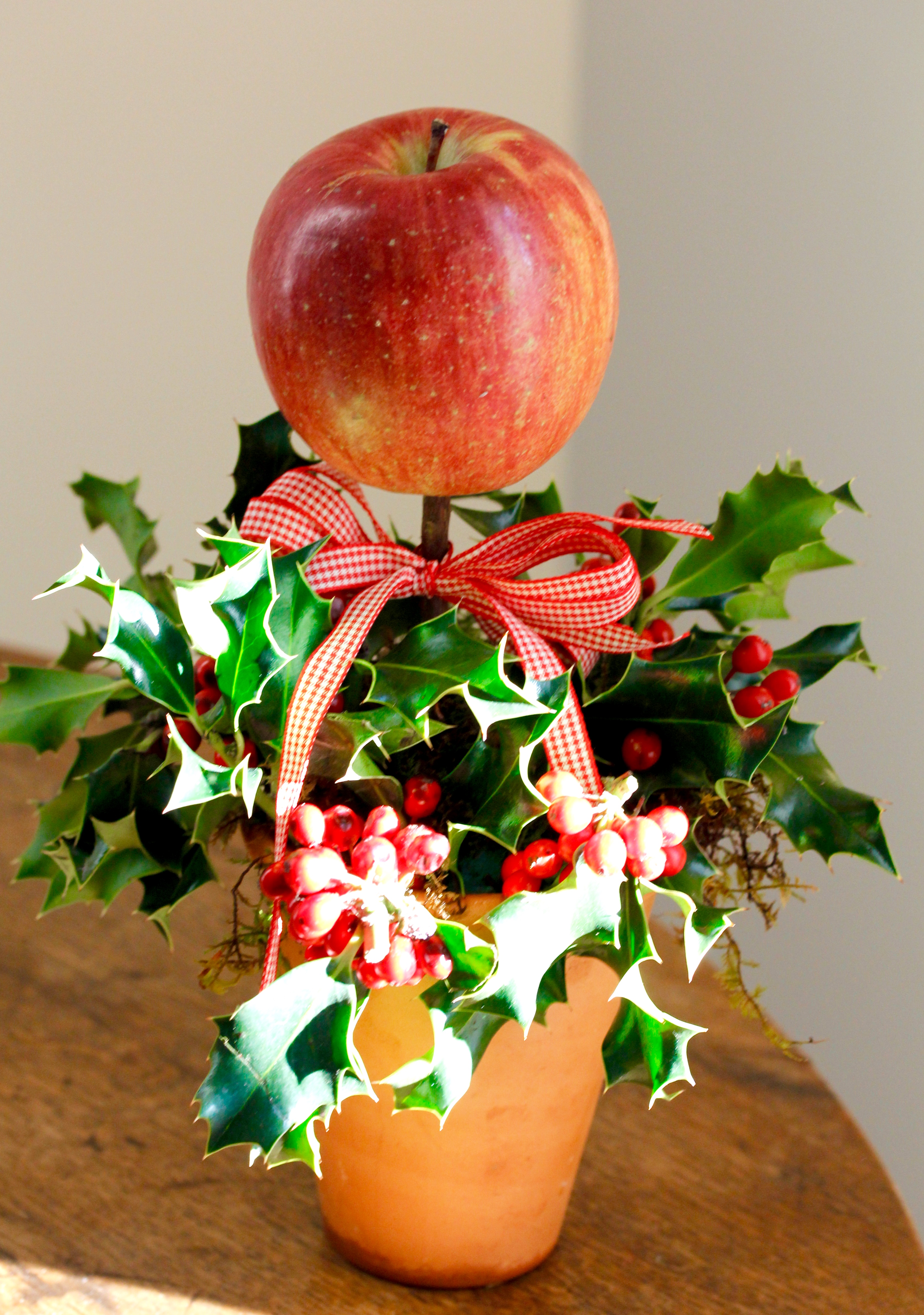 Apple topiary with holly and cinnamon stick trunk.