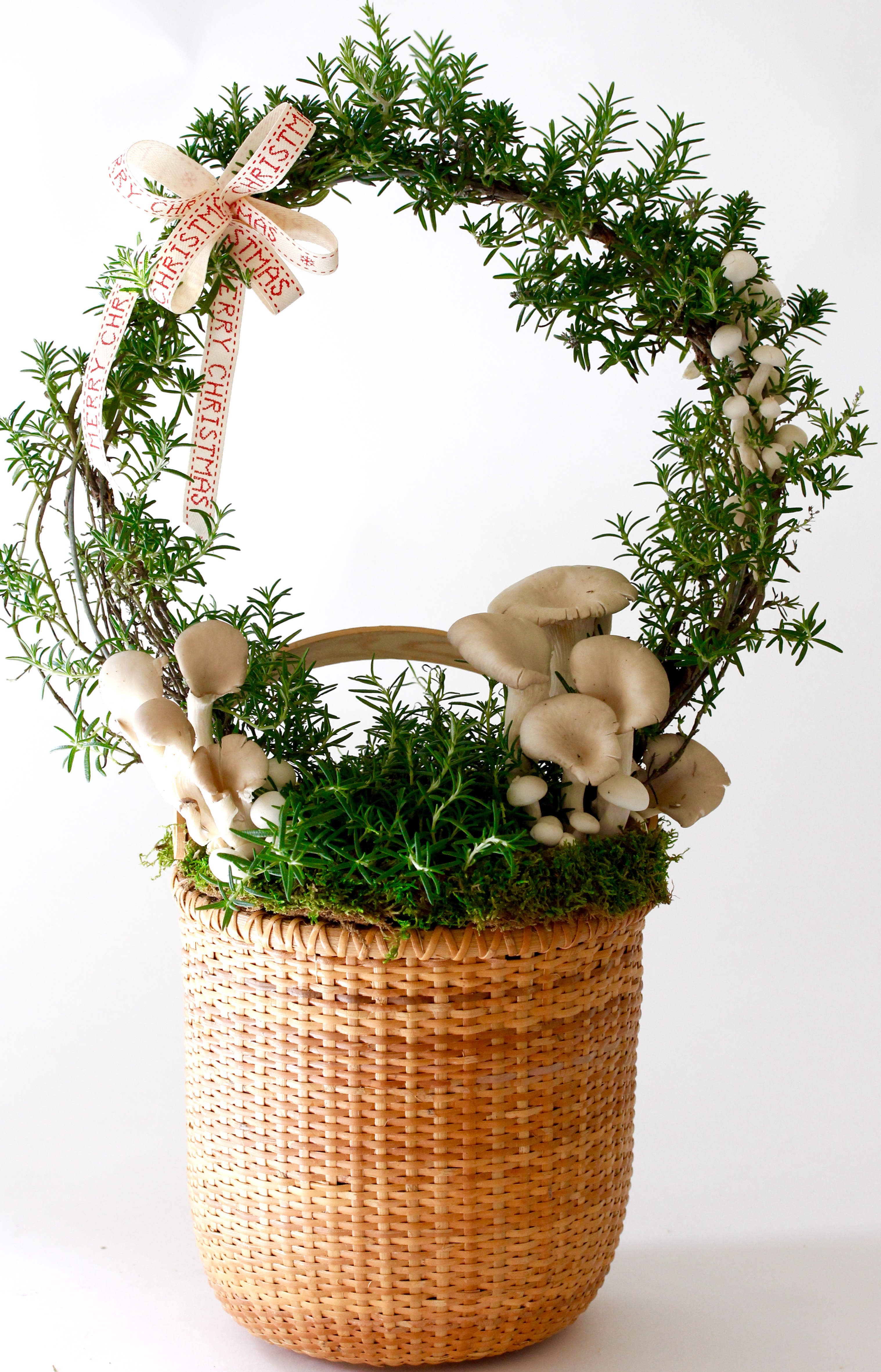 Rosemary ring with beech white and trumpet mushrooms.